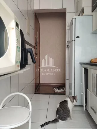 Imagem Apartamento 2 dormitórios Jardim Estrela - Mauá
