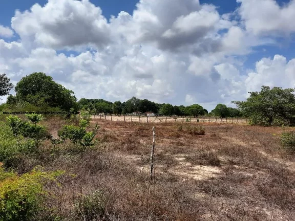 Imagem Granja para Venda em Macaíba, Centro, 2 dormitórios, 3 banheiros, 9 vagas