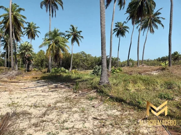 Imagem Terreno à venda, 18615 m² por R$ 3.600.000 - Ilha do Guajiru - Trairi/CE