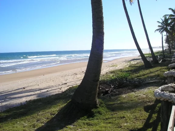 Imagem BUSCA VIDA - FRONTAL MAR - 26.392,00m2 DE ÁREA PLANA EM FRENTE AO CHARMOSO MAR DE BUSCA VIDA, PÉ NA AREIA. 100m DE TESTADA MAR