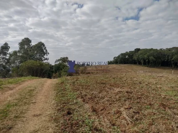 Imagem ÁREA PARA PLANTIO EM BALSA NOVA REGIÃO DO BUGRE