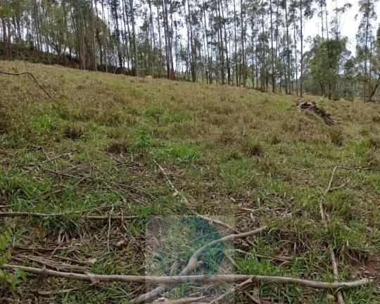 Imagem Sítio 20 ha ou 8,26 alq. a venda, para café, gado Jacui Sul de Minas Gerais