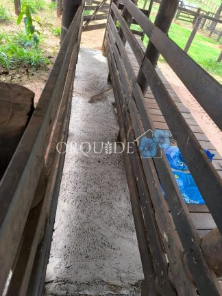 Imagem Fazenda à venda em Mineiros-GO: 150,00 alqueires na Área Rural de Mineiros