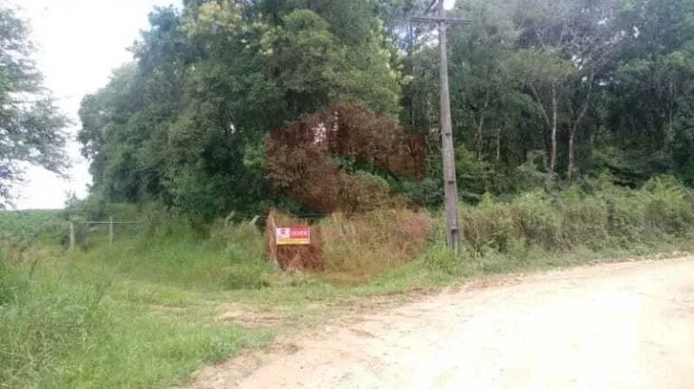 Imagem Chácara à venda em Campo Largo/PR