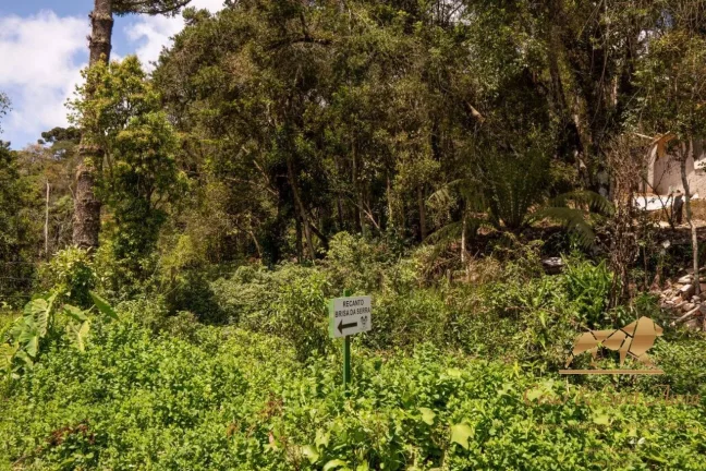 Imagem Terreno com 3132m a venda em Campos do Jordão