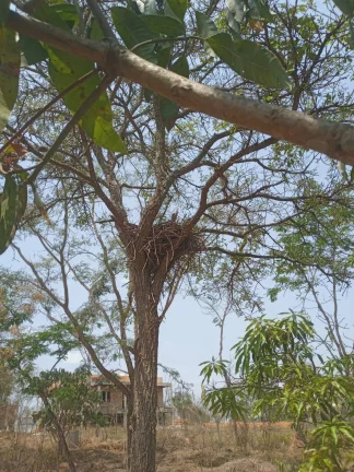 Imagem Chácara à Venda, 1.999 m² em Condomínio Estância Da Cachoeira - Brumadinho