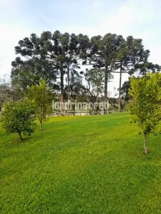 Imagem Chácara à venda 4 Vagas, 12000M², Vila Santa Cruz, Castro - PR
