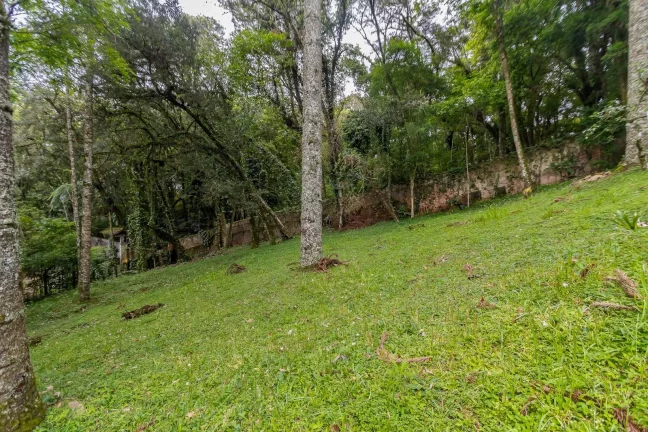 Imagem Terreno 745m2 rua sem saída Santa Felicidade