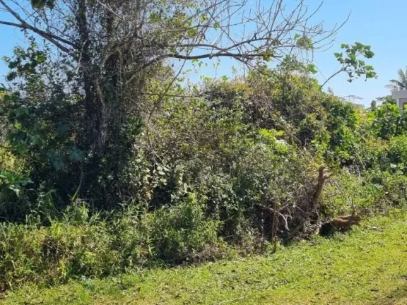 Imagem Terreno á venda, condomínio Bougainville V - Peruíbe/SP