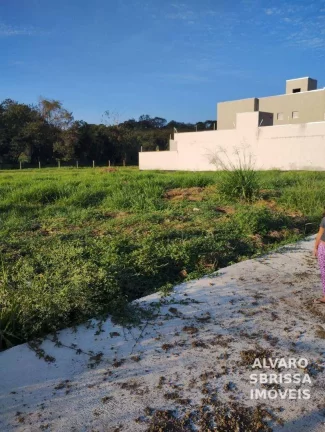 Imagem Terreno medindo 10 x 25 metros a venda no Parque São Domingos em Pindamonhangaba SP