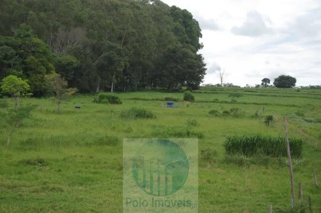 Imagem Fazenda 59 alqueires para soja, milho, gado em Cássia dos Coqueiros - SP . Temos autorização para venda.