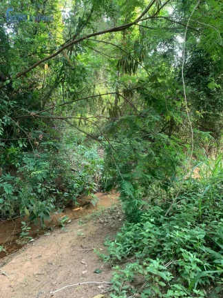 Imagem CHÁCARA À VENDA DE 3.000 M² - LIMEIRA - SP