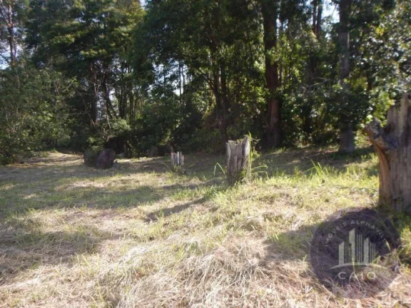Imagem Terreno, 1.694 m², à venda por R$ 7.615.000- Alphaville - Barueri