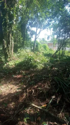 Imagem Terreno para Venda em Itanhaém, Jd Marambá