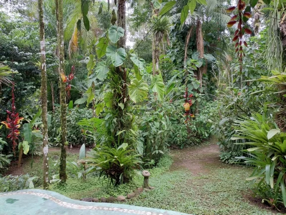 Imagem Linda oportunidade ao meio da natureza no sertão do cambury