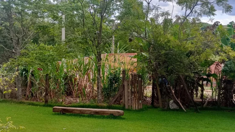 Imagem CHACARA RESIDENCIAL em ELIAS FAUSTO - SP, elias