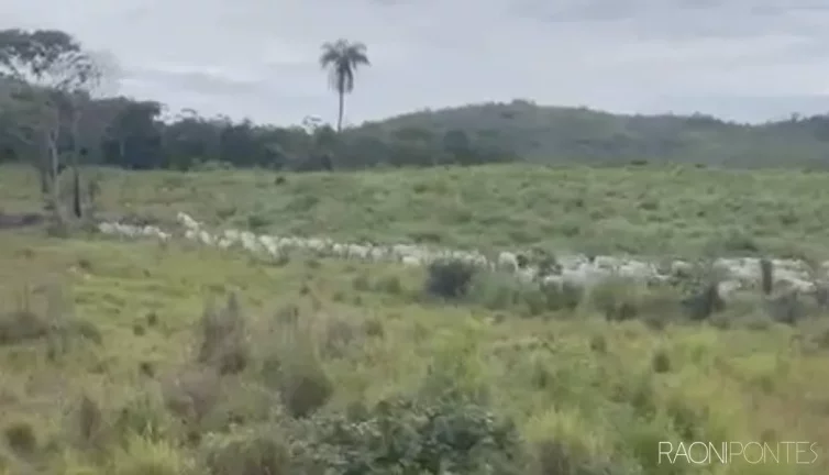 Imagem Fazenda à Venda, 11.470.800 m² em Zona Rural - Paranã