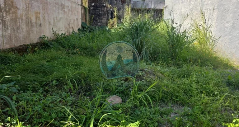 Imagem Terreno à venda no Centro de Ubatuba-SP: localização privilegiada e ótimo potencial de valorização!