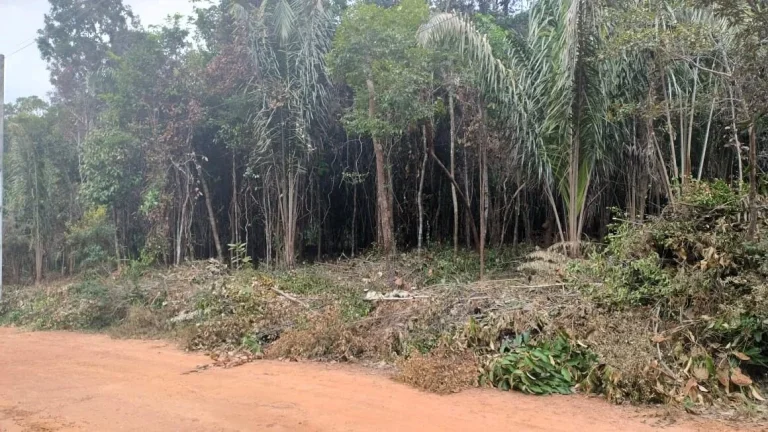 Imagem Terreno à venda no bairro Lagoa do Aruá em Mata de São João-BA, com 2025m² de área total.