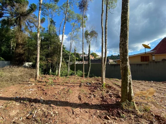 Imagem Ótimo terreno a venda em área mista em Campos do Jordão-SP