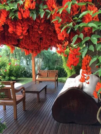 Imagem Casa com 3 dormitórios à venda - Jurerê Internacional - Florianópolis/SC