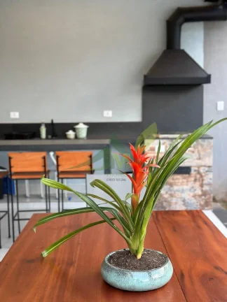 Imagem Linda casa à Venda em Atibaia com Vista para Pedra Grande
