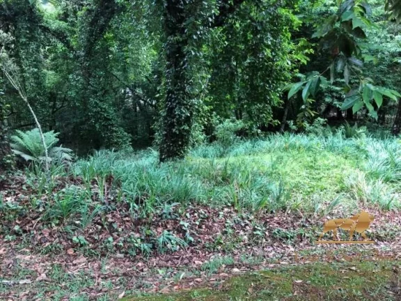 Imagem Terreno à venda, 2450 m² Capivari - Campos do Jordão/São Paulo