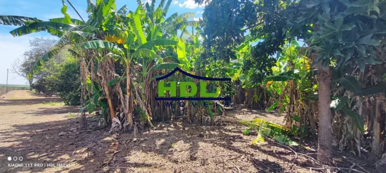 Imagem Chácara 4,34 Hectares com 5 Tanques de peixes em Hidrolândia