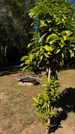 Imagem Terreno à venda, 2 m² por R$ 270.000,00 - Centro - Igaratá/SP