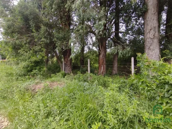 Imagem Terreno para aluguel, Ponta Grossa, Porto Alegre/RS.