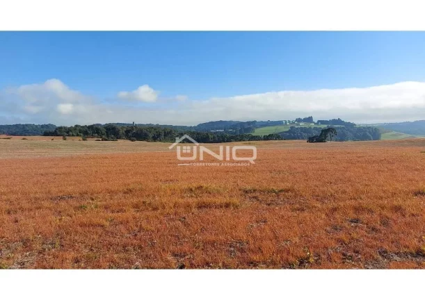 Imagem Fazenda de 47 Alqueires em Palmas - PR
