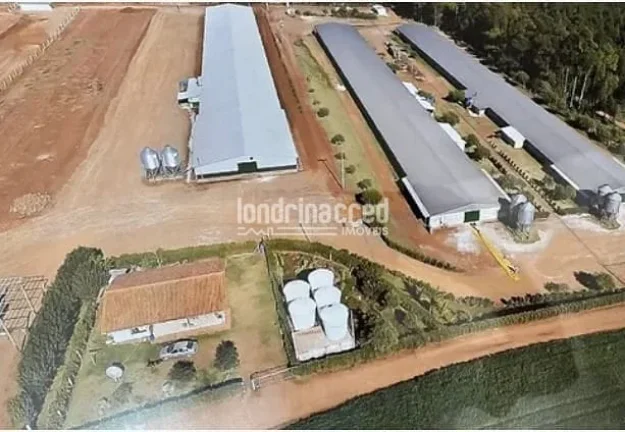 Imagem Sítio à venda, RURAL, Roncador, PR