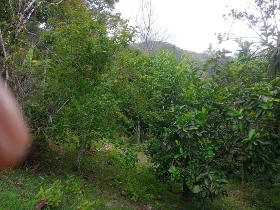 Imagem Chácara para Venda em Pedro de Toledo, Fazenda São José, 2 dormitórios, 1 banheiro, 8 vagas