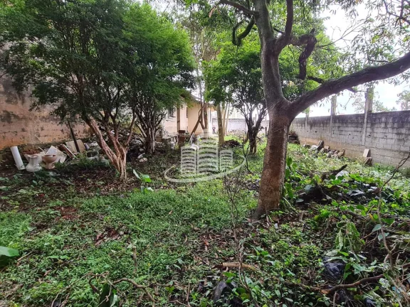 Imagem Terreno Padrão