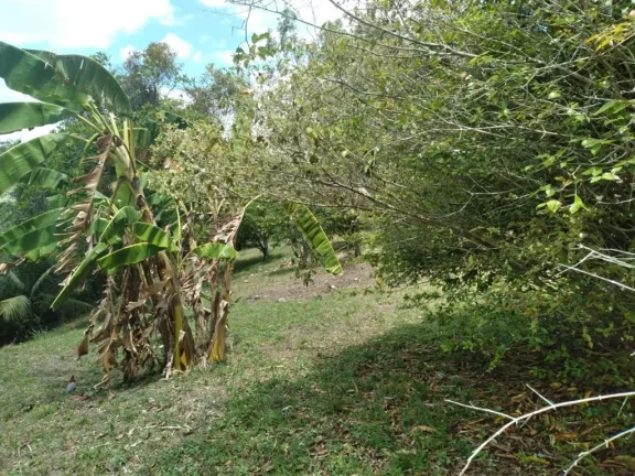 Imagem Terreno de 2.800m² à venda, localizado em Chã de Onça, Paudalho - Pernambuco.