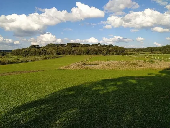 Imagem Terreno para Venda em São José dos Pinhais, Campo Largo da Roseira