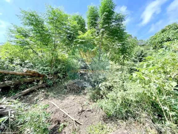 Imagem Terreno Granja Viana 907m2, Bolsão fechado com segurança 24h