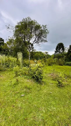 Imagem Chácara - Sítio com 1 Dormitorio(s) localizado(a) no bairro Serra Grande em Três Coroas / RIO GRANDE DO SUL Ref.:1602
