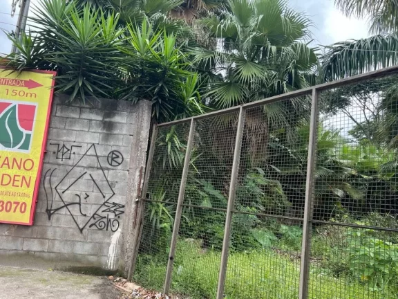 Imagem Terreno, 492 m² - venda por R$ 1.500.000,00 ou aluguel por R$ 6.098,47/mês - Vila Maria de Maggi - Suzano/SP