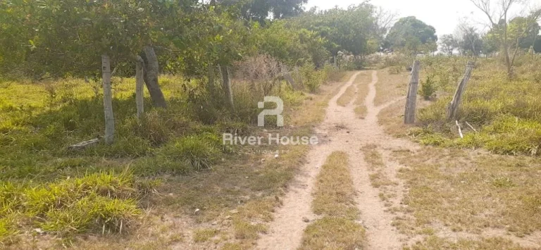 Imagem Charmoso sítio à venda em Olho d'Água, Municipio de Sto Antonio Leverger MT