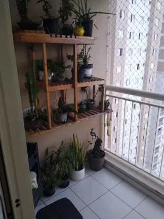 Imagem Disponível para VENDA