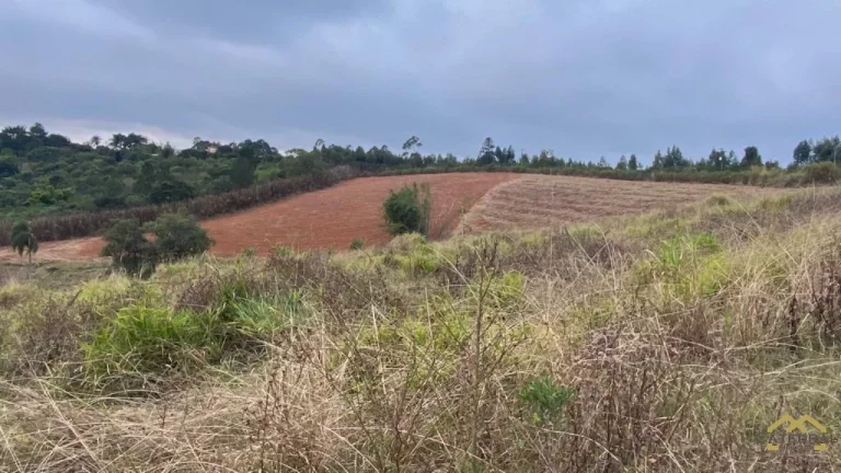 Imagem Ótima Área para Investimento em Jarinu