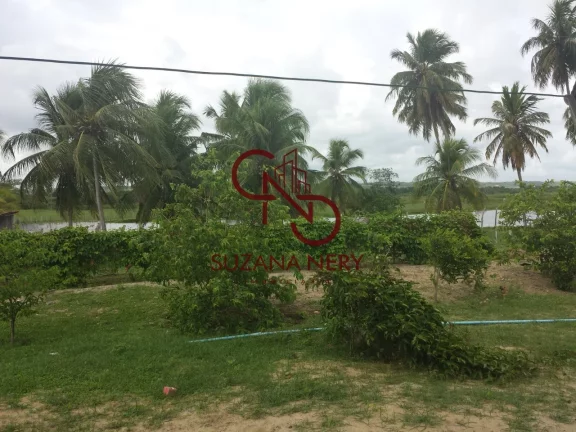 Imagem Fazenda residencial á venda em Nísia Floresta com 37 hectares