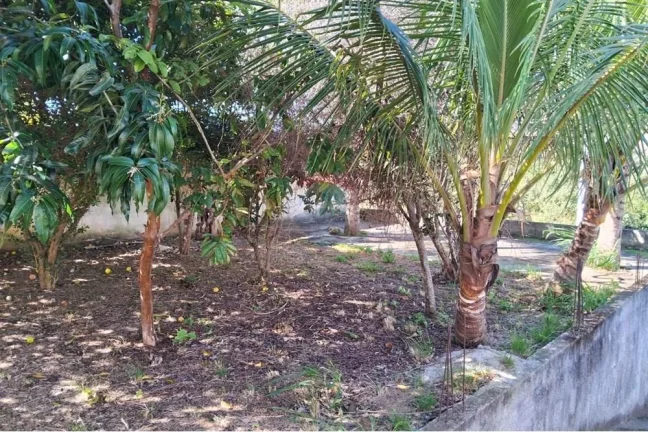 Imagem Terreno documentado em Jacaroá