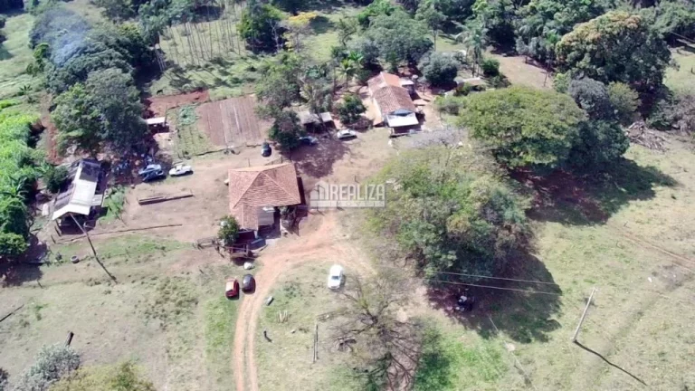 Oportunidade! Fazenda à venda em Conceição das Alagoas