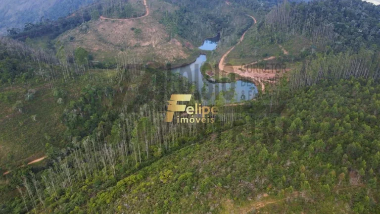 Imagem Vende-se uma incrível Fazenda de 80 alqueires, localizada a apenas 80 km de Colatina!
