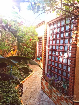 Imagem Casa terrea na vila lucia, dois dormitorios, sala , cozinha, edicula e espaço para home office