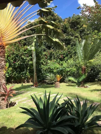 Imagem A casa dos sonhos no litoral baiano