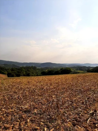 Imagem OPORTUNIDADE ÚNICA!!! 12 Hectares, Linha Doutor Flores, Sertão Santana