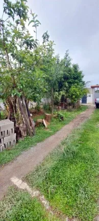 Imagem CHACARA PEQUENA EM LOCAL URBANO